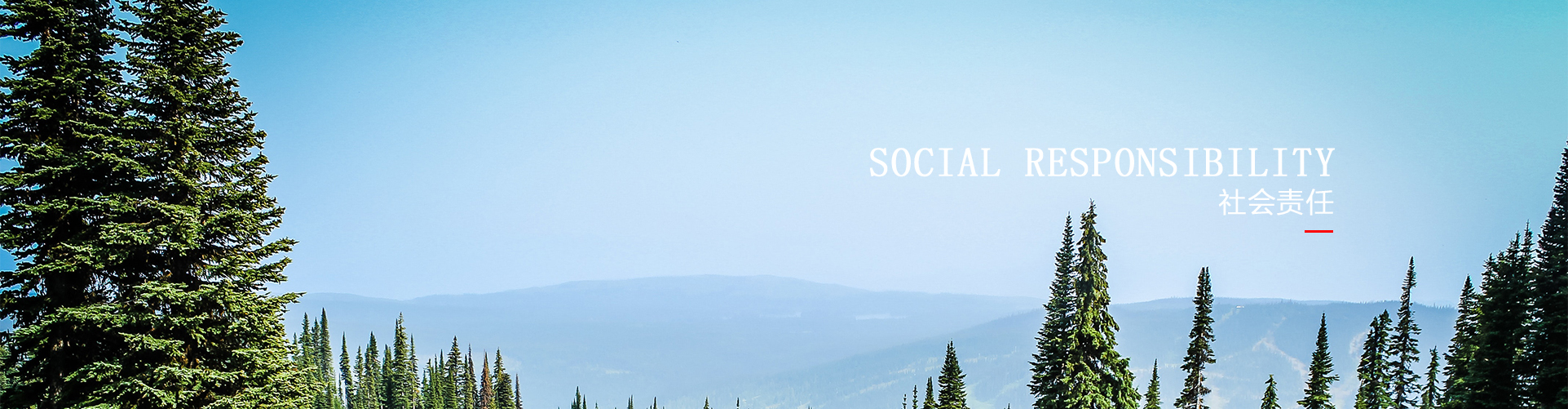社會責任