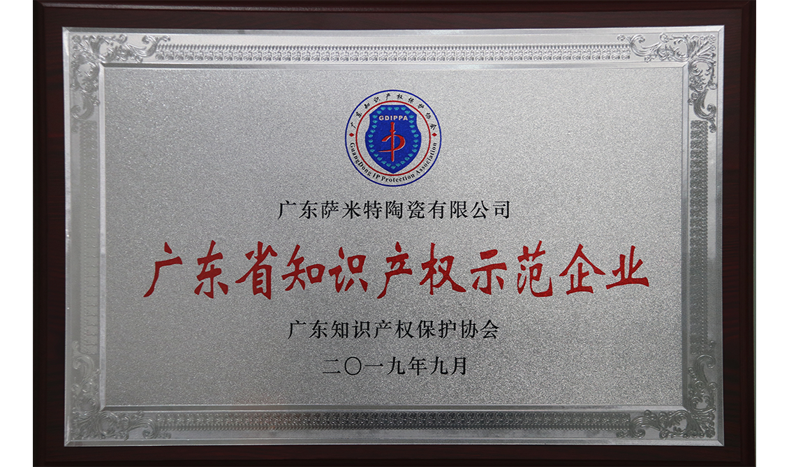 廣東省知識產(chǎn)權(quán)示范企業(yè)