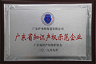廣東省知識產(chǎn)權(quán)示范企業(yè)