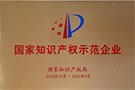 國家知識產(chǎn)權(quán)示范企業(yè)